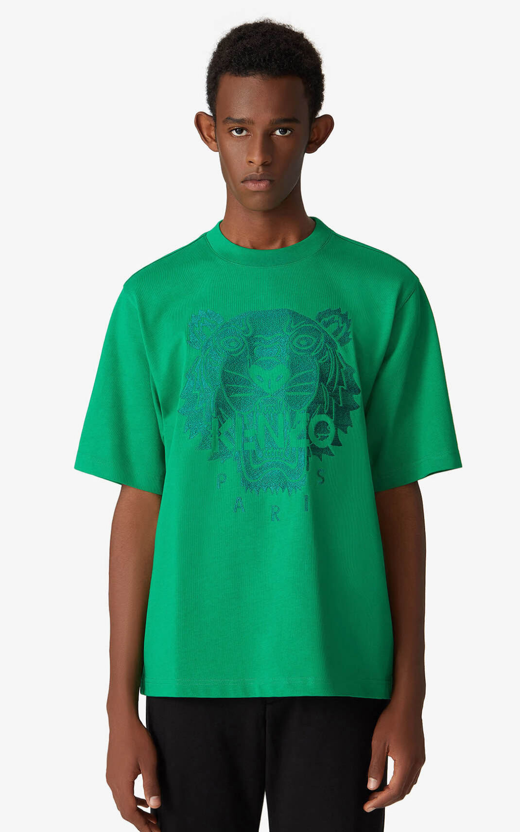 Camiseta Kenzo Oversize Tiger Masculino - Verdes | 806EALDVC